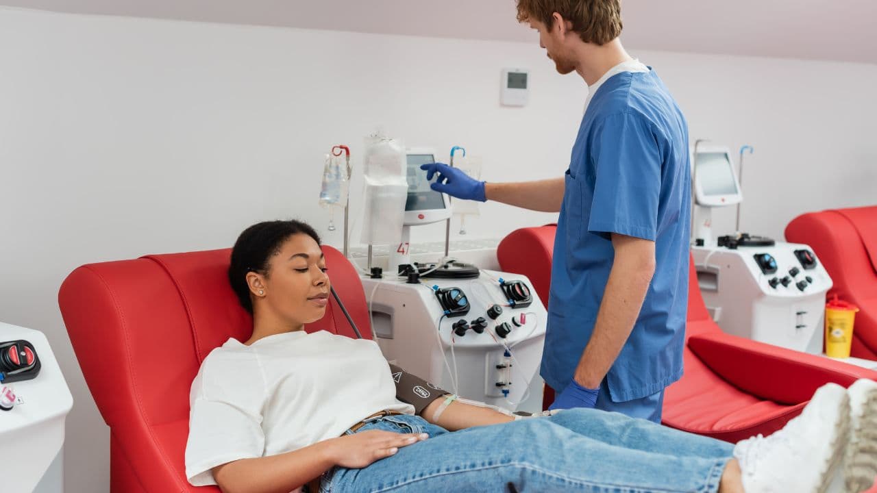 imagem sobre Hematologia: guia completo sobre a especialização!
