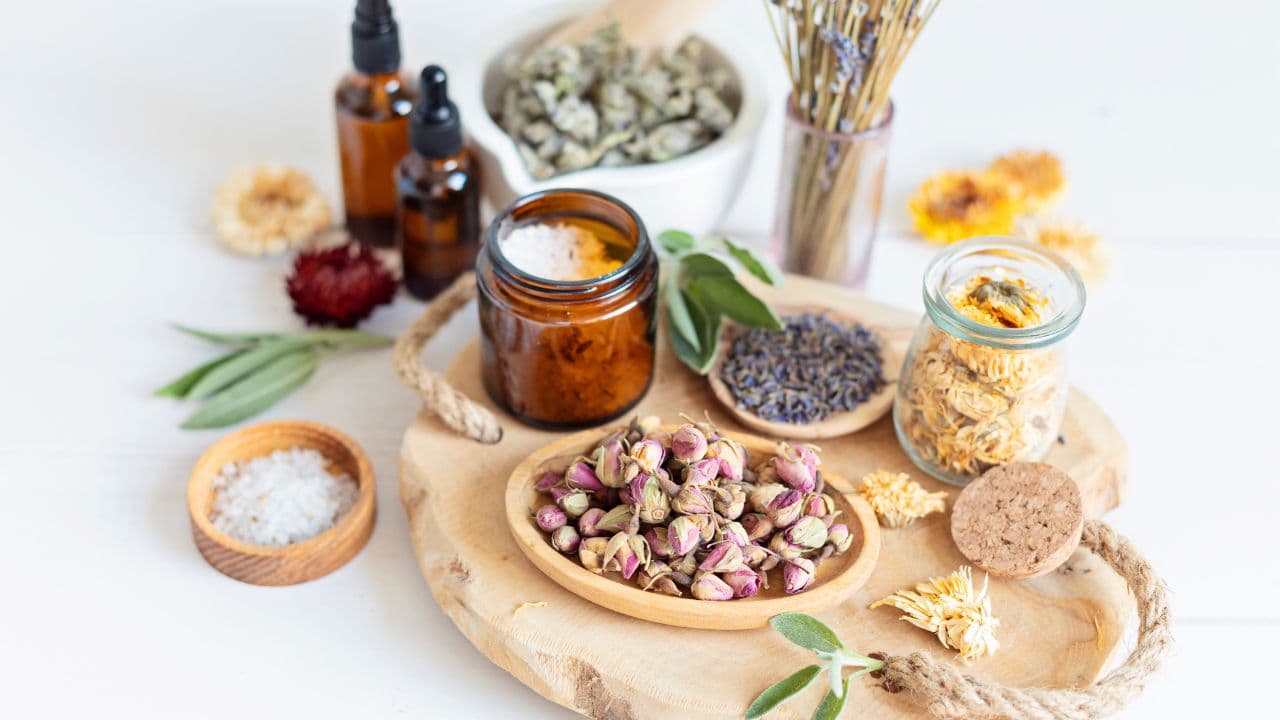 imagem sobre O que é Fitoterapia? Conheça o tratamento das plantas medicinais