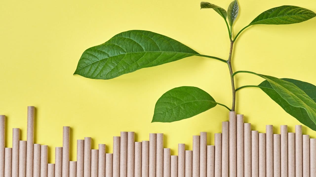 imagem sobre Crescimento sustentável: estratégias, princípios e exemplos de sucesso!