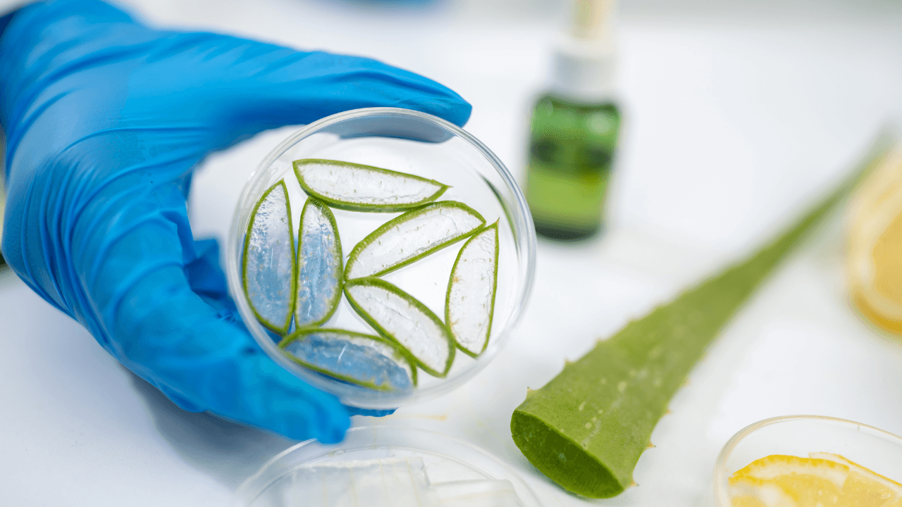 imagem sobre Biotecnologia salário: oportunidades, cargos e perspectivas de carreira!