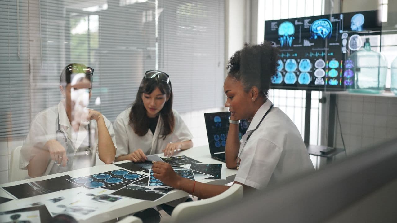 imagem sobre O que a neurociência estuda? Áreas de estudo e sua influência