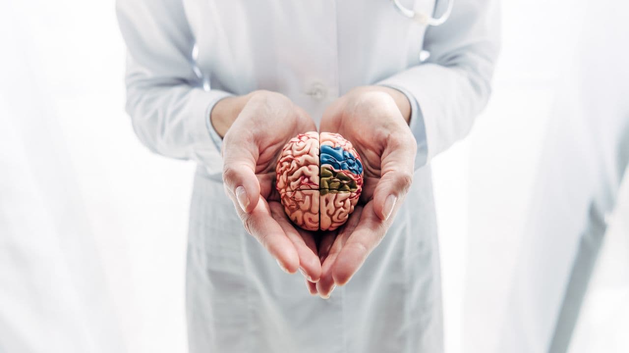 imagem sobre O que é Neuroplasticidade: entenda o cérebro e seu potencial