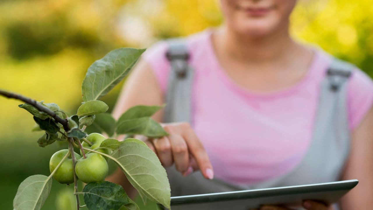 imagem sobre Agroecologia o que é: como funciona e por que esse conceito é tão importante