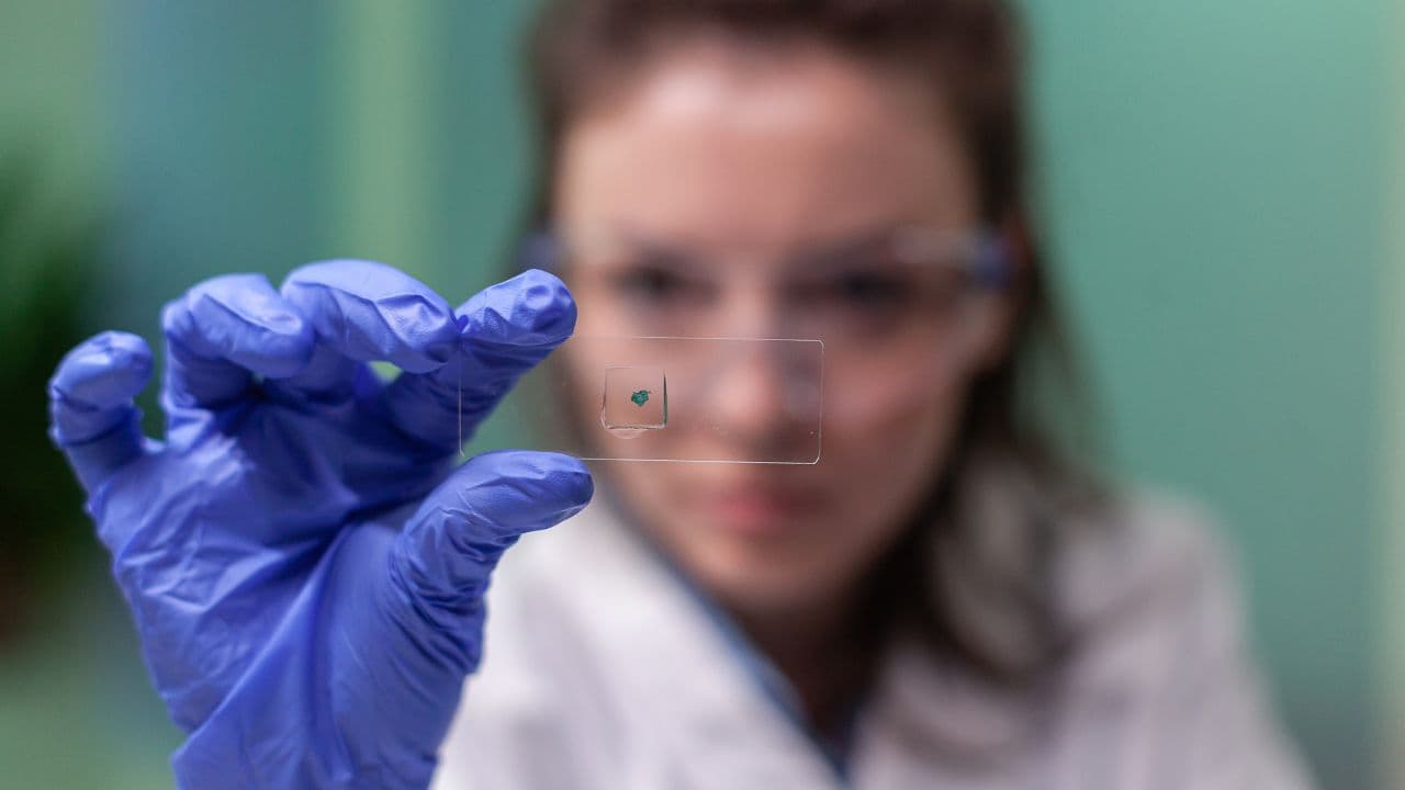 imagem sobre O que é parasitologia? Entenda o conceito, o que essa área estuda e por que ela é tão importante