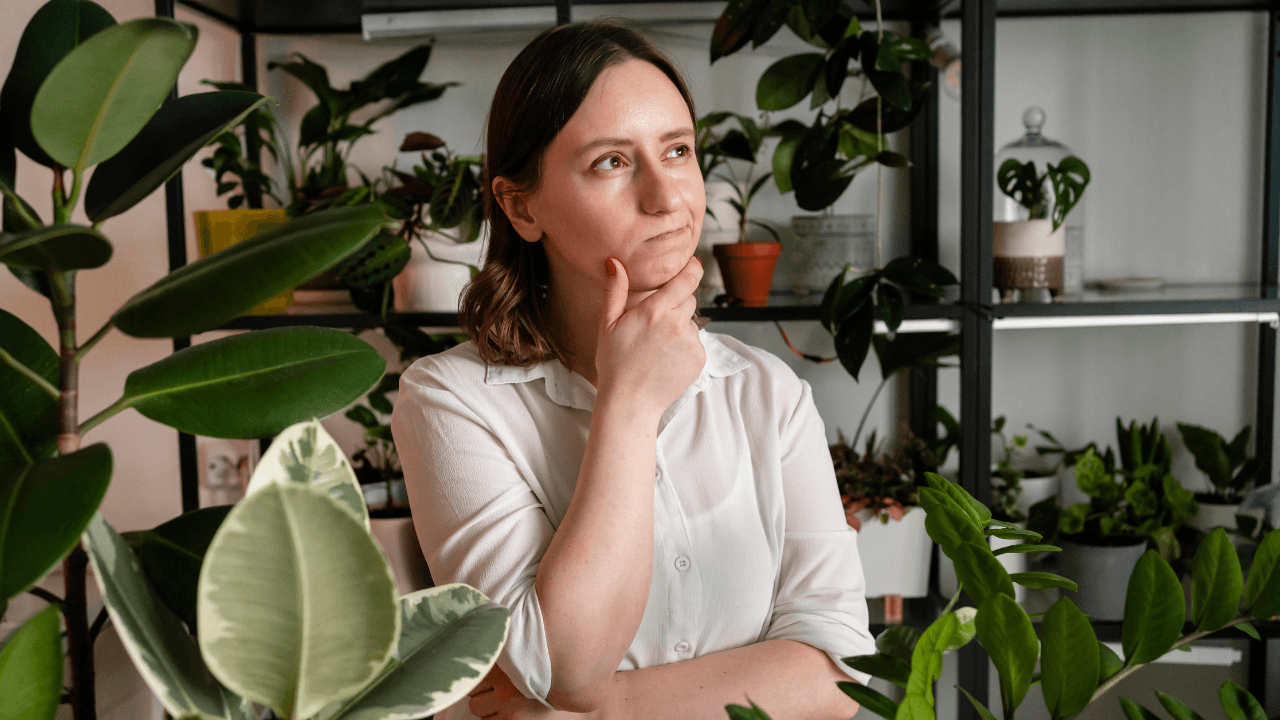 imagem sobre Desenvolvimento sustentável: conceito, pilares e aplicações práticas