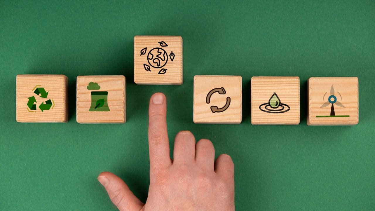 imagem sobre O que é sustentabilidade? Entenda o conceito, os pilares e por que esse tema se tornou essencial