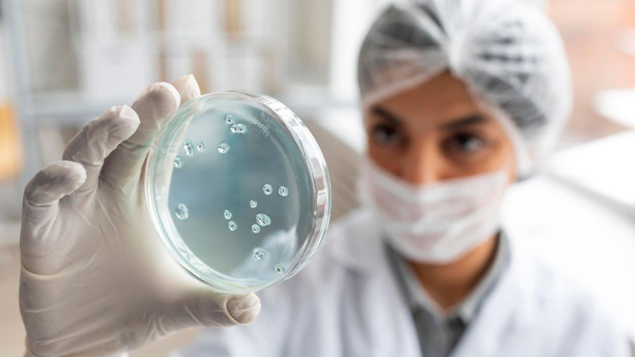 imagem sobre Parasitologia: o que é, o que estuda e qual é sua importância para a saúde