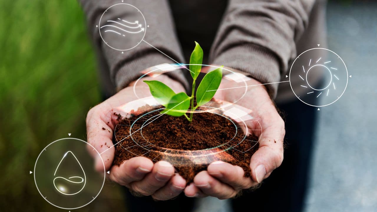 imagem sobre Biofertilizante: o que é, para que serve e qual sua importância na agricultura
