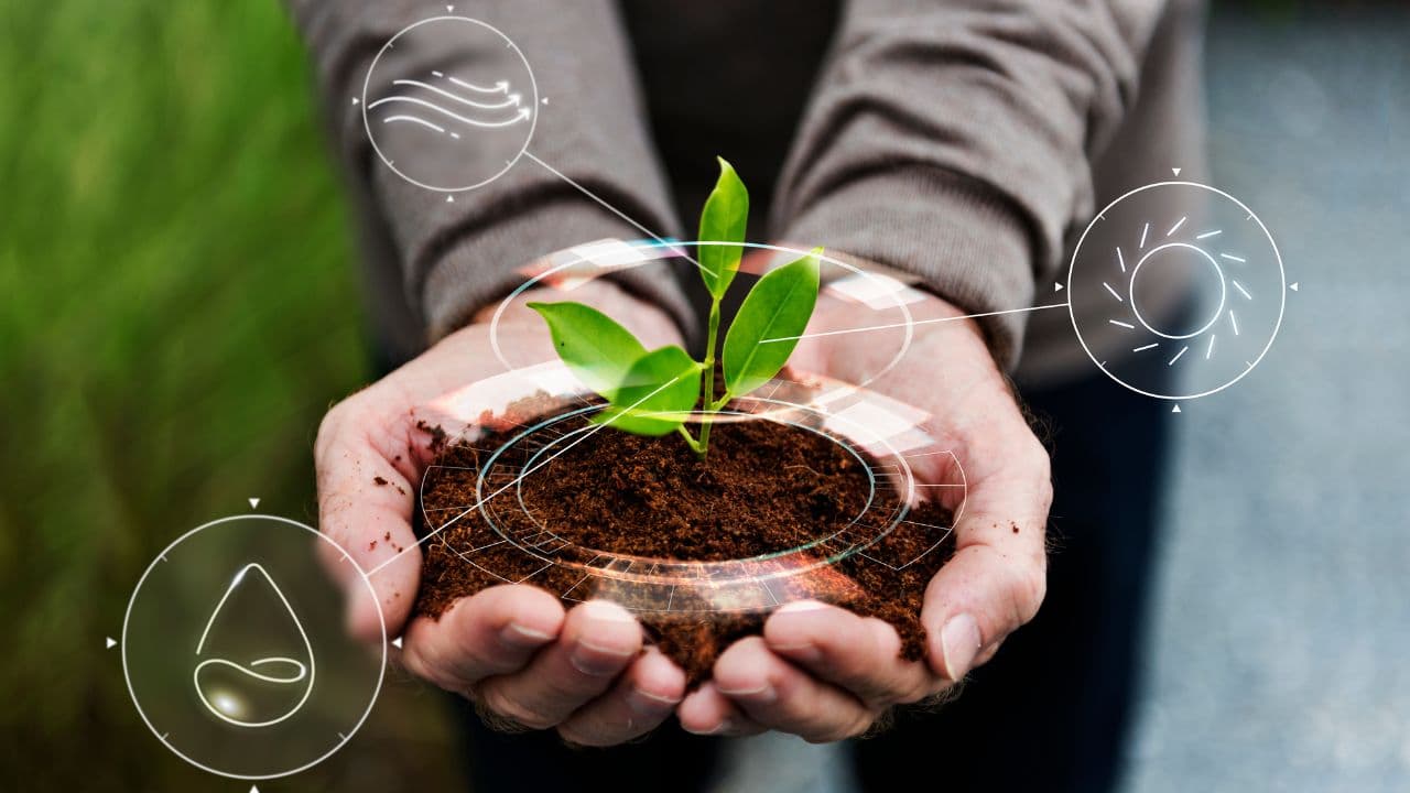 imagem sobre Bioinsumos na agricultura: o que são, como funcionam e por que ganharam tanto espaço no campo