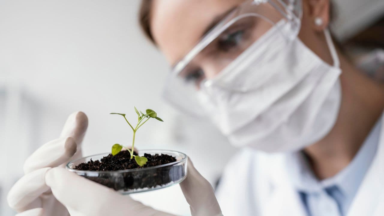 imagem sobre Bioinsumos o que é: para que serve e por que o termo ganhou tanta força no agro