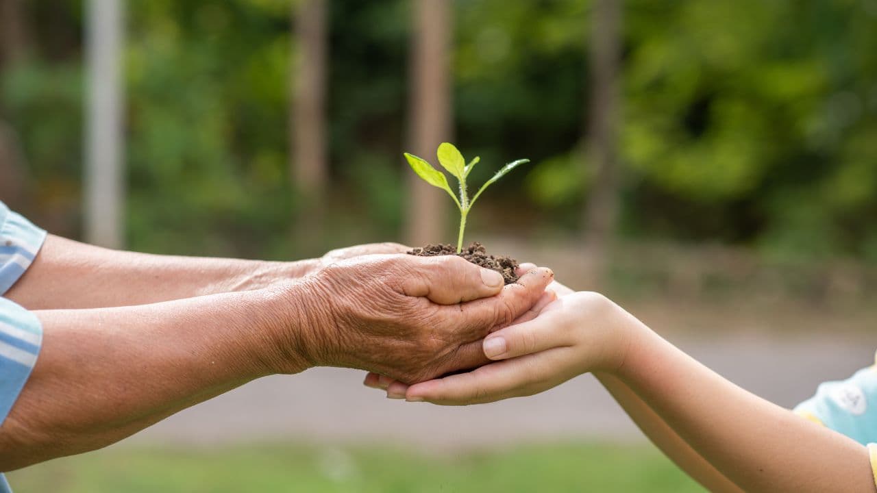 imagem sobre O que é educação ambiental? Descubra aqui