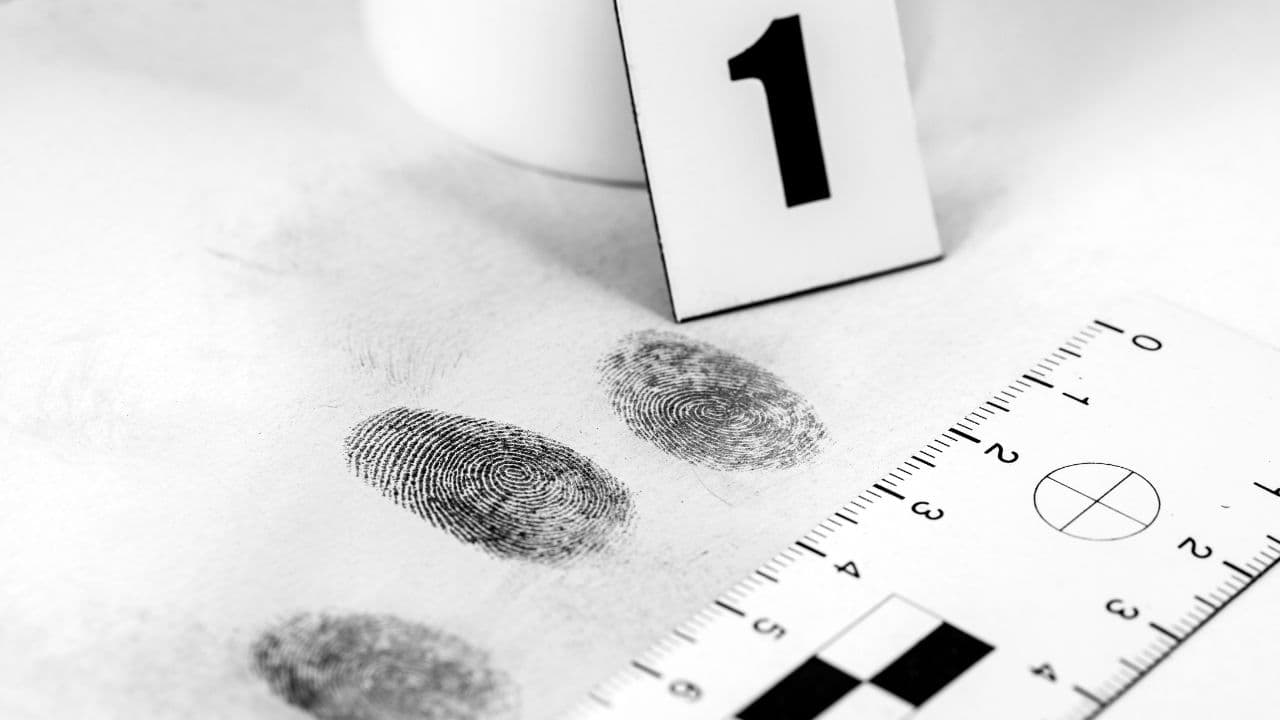 imagem sobre Perito criminal como se tornar: formação, carreira e salários
